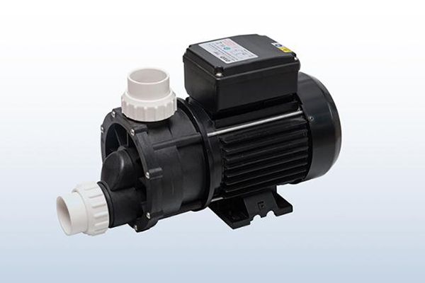Dual Speed Pump