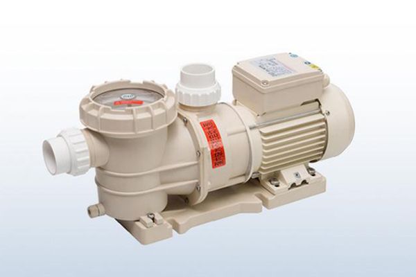 Classic Pool Pump