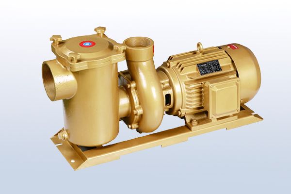 Metal Pool Pump