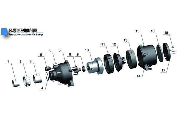 Structure Diagram