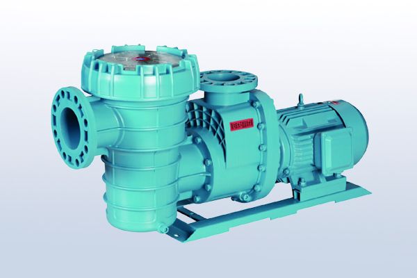 Powerful Pool Pump